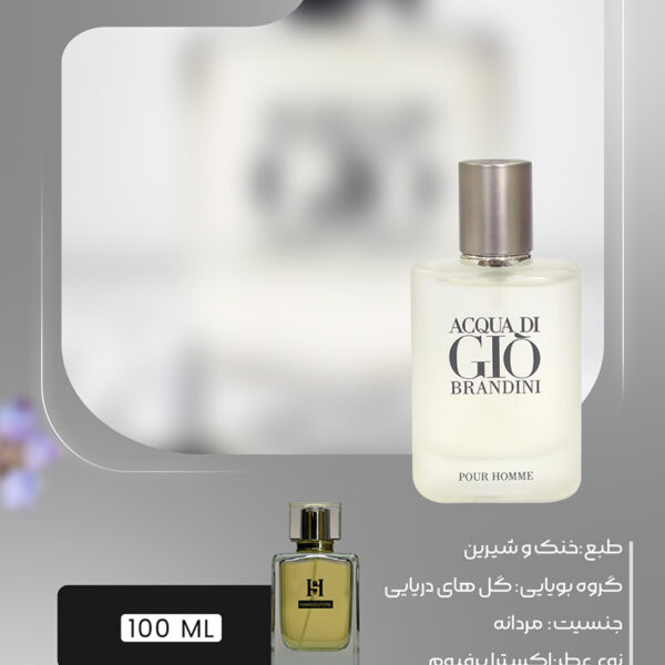 خرید عطر اکوا جیو مردانه (Acqua di Gio) | حامد استور